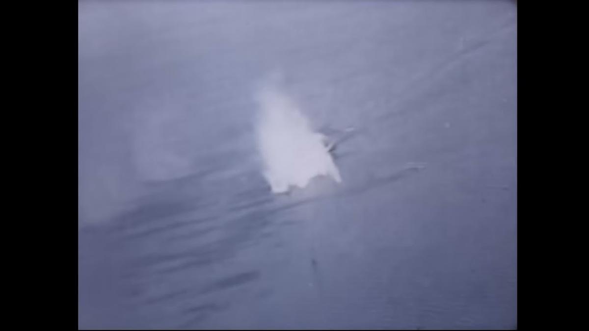 'Video thumbnail for P-51s Strafe Japanese Shipping WWII.'